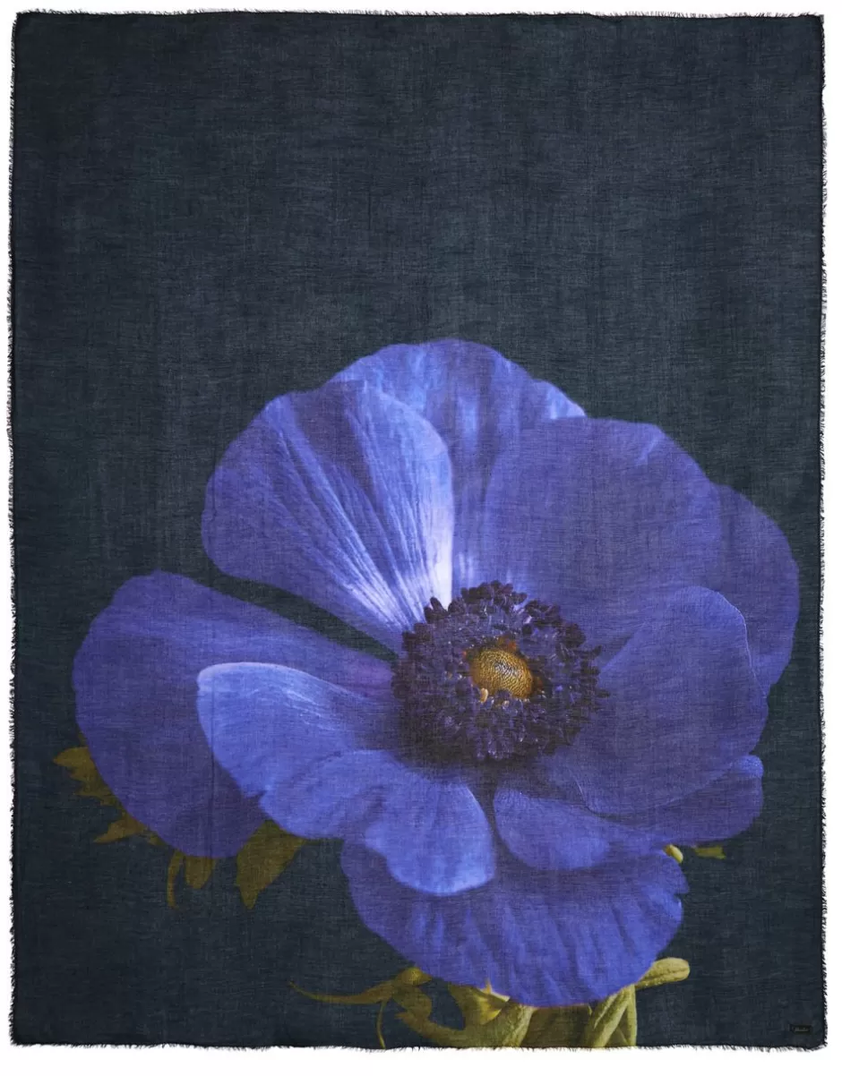 Women Faliero Sarti Women's Scarves<Floral Stole In Collaboration With Francesco Dolfo | Francesco