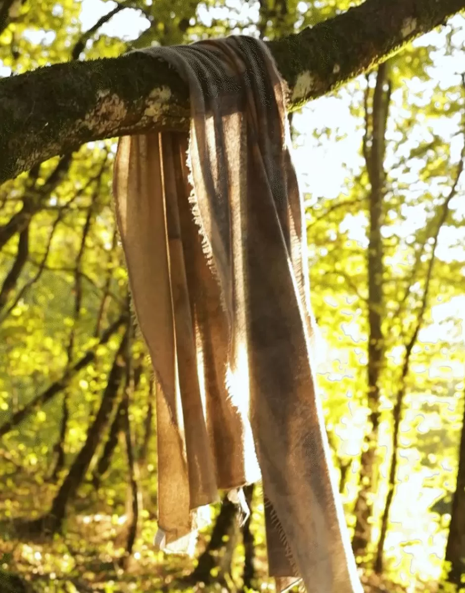 Women Faliero Sarti Women's Scarves<Handcrafted Pure Cashmere Stole With Floral Print | Adriel N