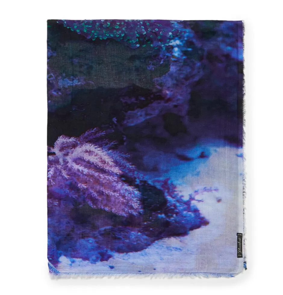 Women Faliero Sarti Women's Scarves<Printed Pure Cotton Scarf | Marino